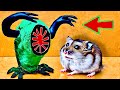 ☠️🐹EPIC Hamster Maze with Traps 😱[OBSTACLE COURSE]😱