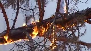 В одном из двух пожаров погибла усольчанка