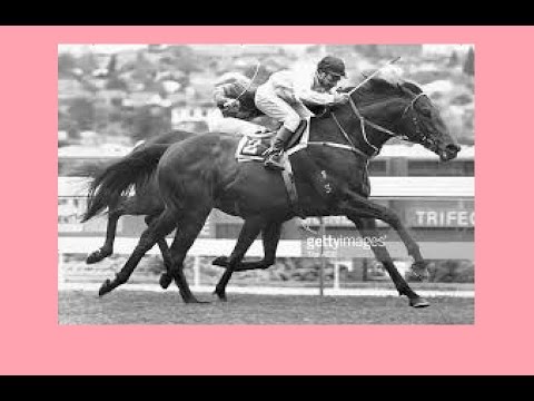 1987 MVRC W S Cox Plate _ Rubiton