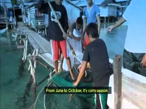 Coral Triangle Support Partnership in the Phillipines