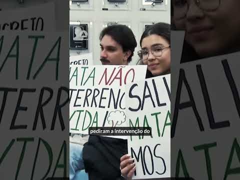 Mata Atlântica em risco em Timóteo? 🌳