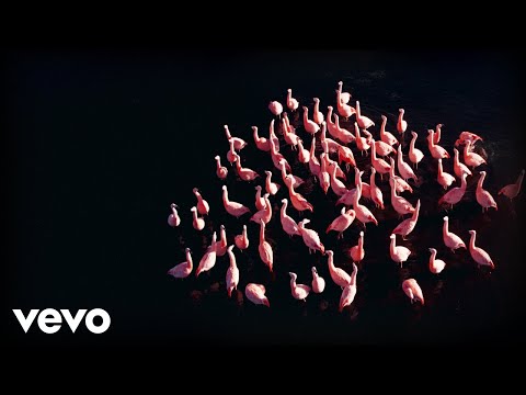 Felix Jaehn - Walk With Me - Edit (w/ Shouse) on Spotify Charts