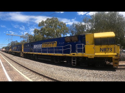 #1MP2 NR73 NR98 NR63