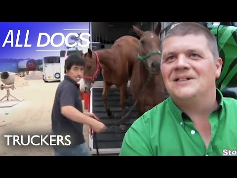Transporting Polo Horses | Truckers: Season One | All Documentary