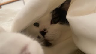 もうすぐ冬だね