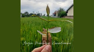 Download lagu Angin Membawa Kerinduanku mp3