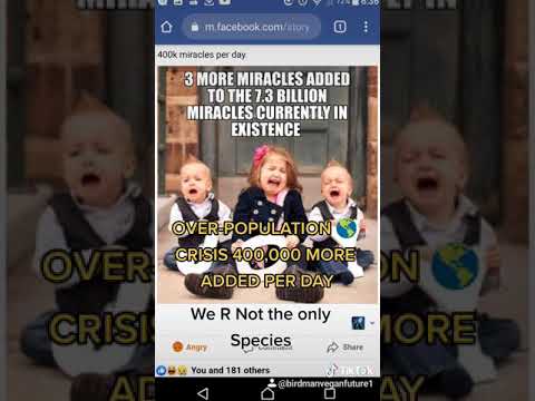 TIKTOK Deleted This PC Babies (OverPopulating Parents Selfish Snowflakes❄Childfree Fine GenderReveal