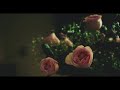 Piero Piccioni ● Amore mio Aiutami [FULL ALBUM] ~ Romantic Old Music in Movies ~