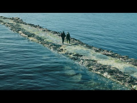 El tiempo no ha curado nada.
