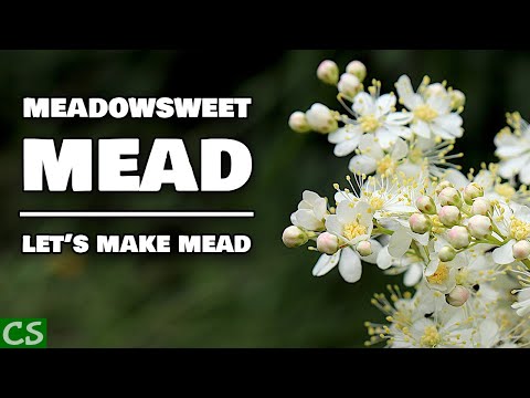 Easy Meadowsweet Mead Recipe- How to Make Mead with the ORIGINAL Mead Herb