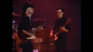 Johnny Winter ~ Stranger