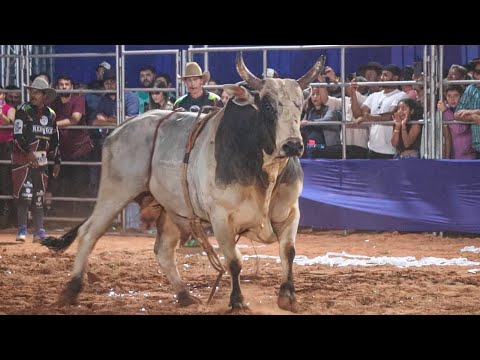 (SEMI FINAL EM TOUROS) - Rodeio de CHAPADÃO DO CÉU-GO 2024