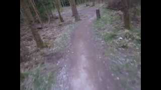 preview picture of video 'Fun on the Verderers Blue Loop, Forest of Dean'