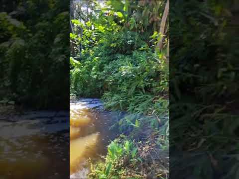 MORADOR REGISTRA ESPUMA ENTRANDO NO RIO SÃO LOURENÇO DA SERRA NO JARDIM DAS PALMEIRAS.