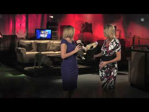 WUA Alexa And Shanisty Dogs