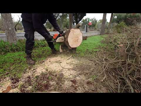 stihl 018 dry pine with knots