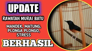 Download lagu rawatan murai batu macet bunyi, matung drop mental mp3