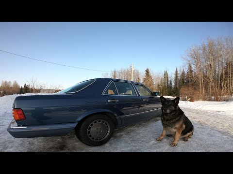 Toyo Celsius All Weather Tire Review - Watch This Before You Buy Tires
