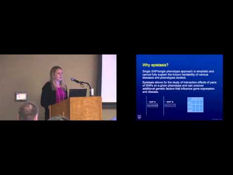 Epistatic Interactions for Brain eGWAS in Alzheimer's Disease