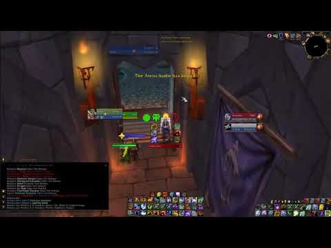 Enhance Shaman with BM Hunter Arena 2v2 WOTLK