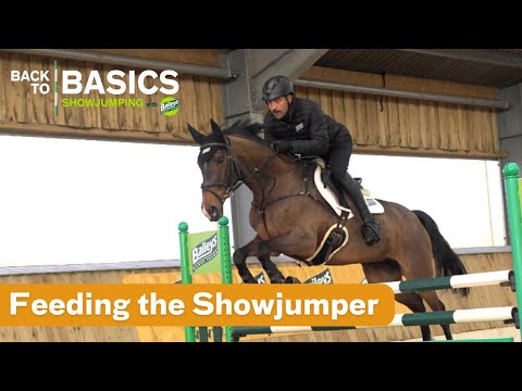 FREE EPISODE | Feeding the Showjumper | Back To Basics: Showjumping | Horse & Country