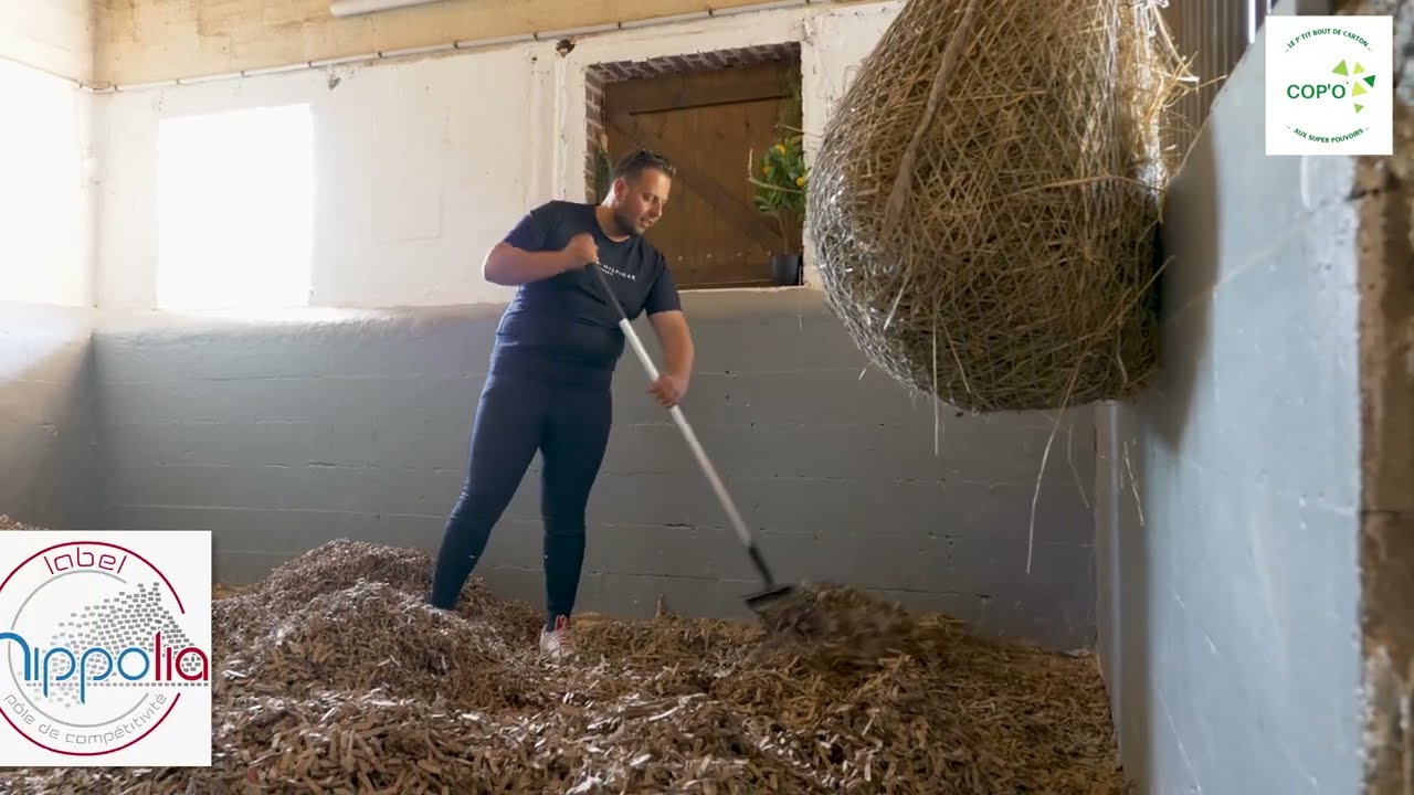 Litière copeaux de carton recyclé pour chevaux