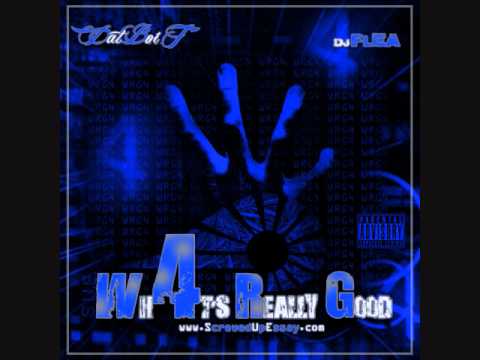 Dat Boi T - Rapid Fire Academy (Feat. Bunz, Felony, & GT Garza) (WRG4) (Track 12)