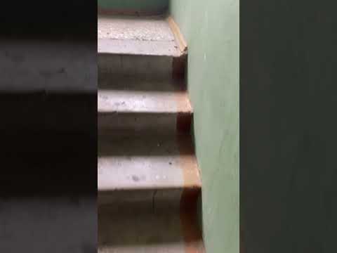 фото симонова ул, 41, могилёв, могилёвская область, 1 комн., 37 м² 0