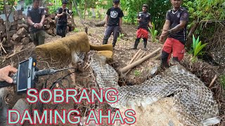 MGA NAG TATAGONG MAKAMANDAG NA COBRA SA BALAYAN BATANGAS#cobraprince