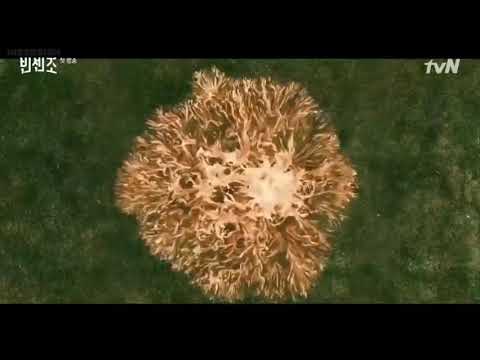 Aalia(알리아) - Adrenaline (Italian ver.) (빈센조 OST) Vincenzo OST part 2