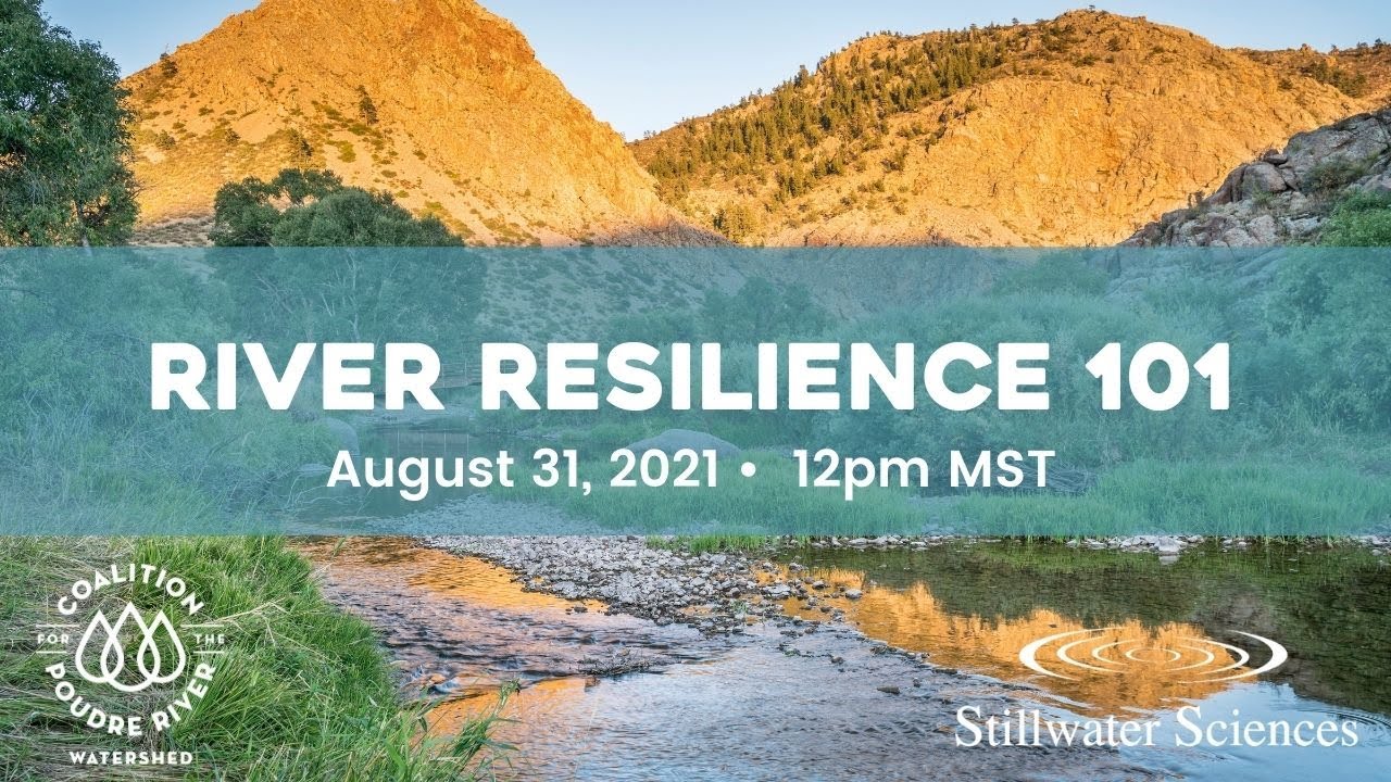 Webinar: River Resilience 101