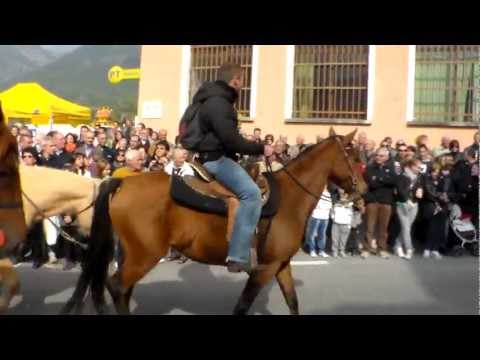 SFILATA DI CAVALLI E MANDRIA DI MUCCHE A DEMONTE (CN). 14 - 10 - 2012.