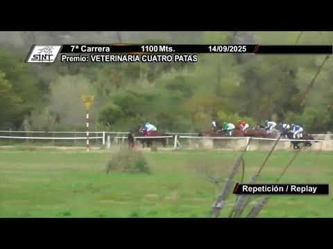 CARRERAS SINT ROCHA 14/9/25 | EN VIVO | URUGUAY