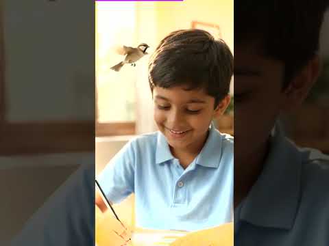 Grade 5 Multiplying Decimals Columns C