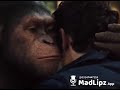 Madlipz Punjabi Galiyan Funny Video 2