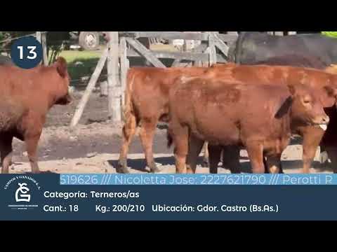 Lote M Y H - Gob. Castro Bs As