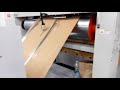 Riproduci video