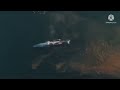 The Blue Planet Blue Whale Music Only