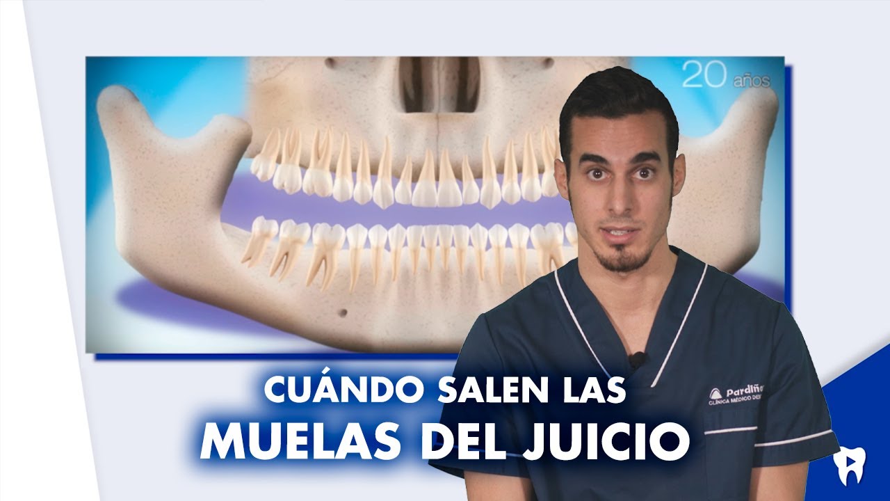 ¿Cuándo salen las MUELAS DEL JUICIO ¿Para que sirven | #Shorts