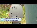 PROMO HUTOS MINI MINI RTV RAJAWALI TELEVISI