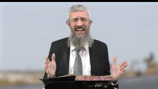 מסכת זבחים דף קיז - 8 דקות של לומדות ועמקות בדרך הלימוד הישיבתית [Zevachim 117]