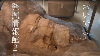 おいでよ!発掘情報館「(2)金井東裏遺跡編」|文化|文化財保護課|群馬県