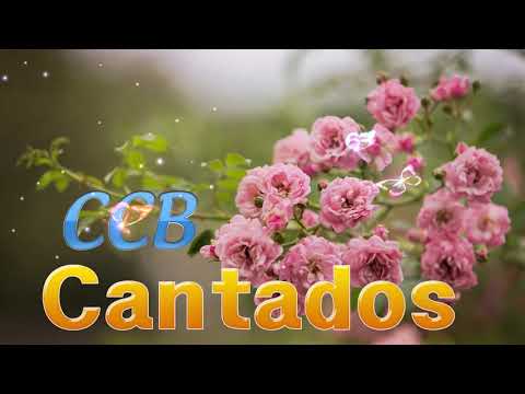 HINO CCB 2021 🌻 MELHORES HINOS CCB MAIS TOCADAS 🌻 PARA ORAÇÃO DO DIA