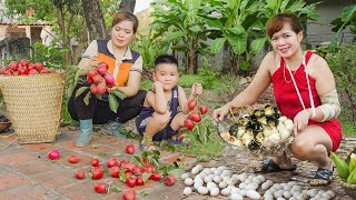 120 Days of Take Care of Ducklings - Harvest Persimmon, Corn Goes to Market Sell | Lica Daily Life