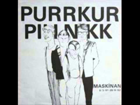 Purrkur Pillnikk - Surprise