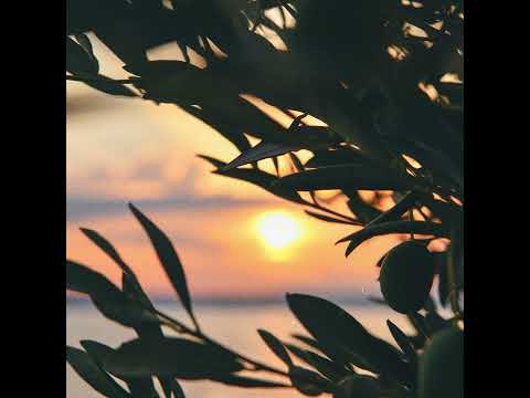 Jeff Kaale - Hanabi [Official Audio]