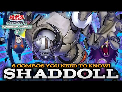 SHADDOLL - 6 COMBOS YOU NEED TO KNOW! (Terminal World 3)