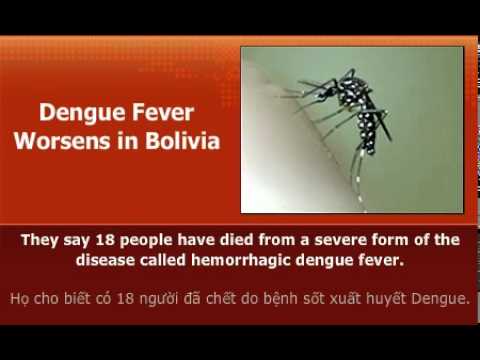 Dengue Fever Worsens in Bolivia