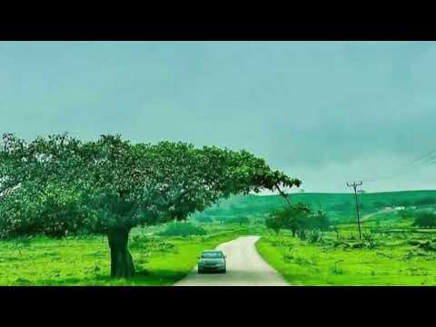 Saleh Abdullah Of Oman - Wache waseme