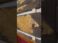 Crafted From Incorruptible Acacia Wood And Overlaid With Pure Gold The Ark Of The Covenant Wasn T